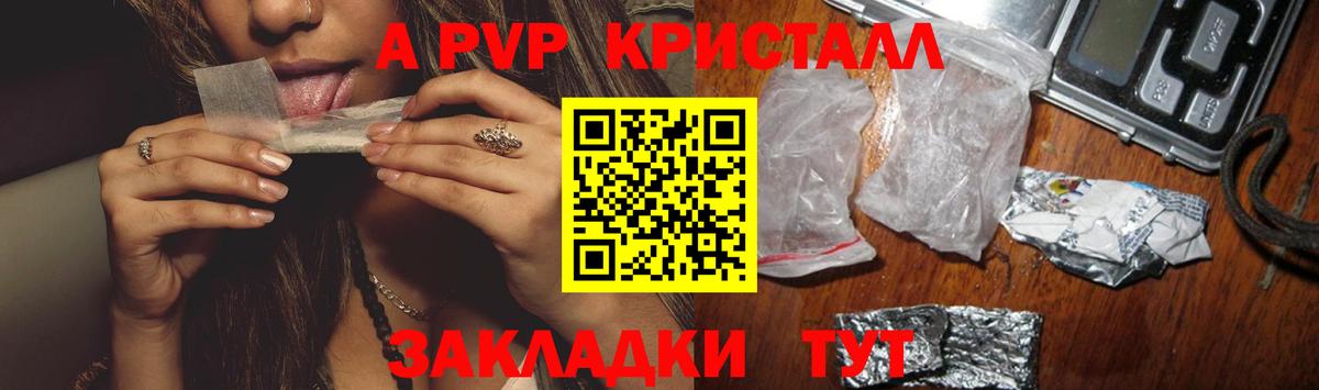 Альфа ПВП СК КРИС Балашов