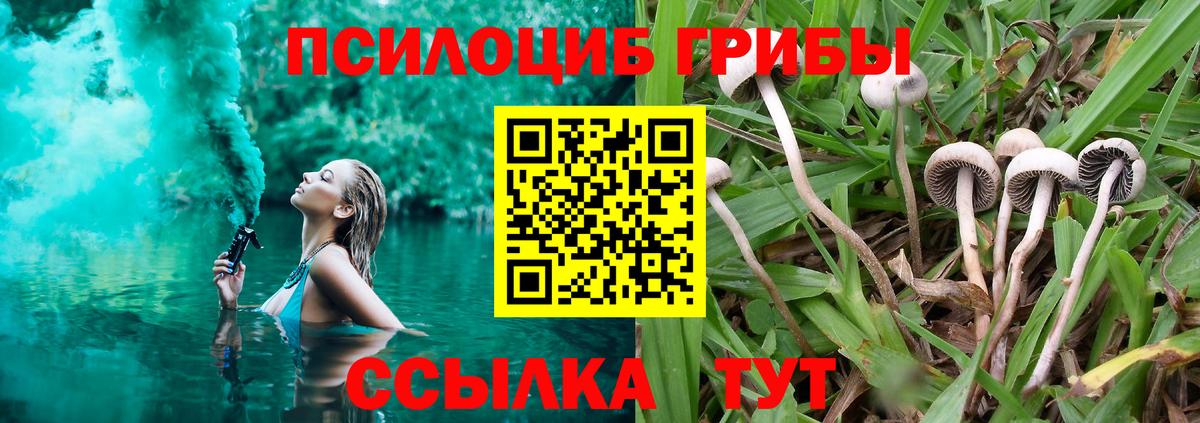 Галлюциногенные грибы ЛСД  Балашов 