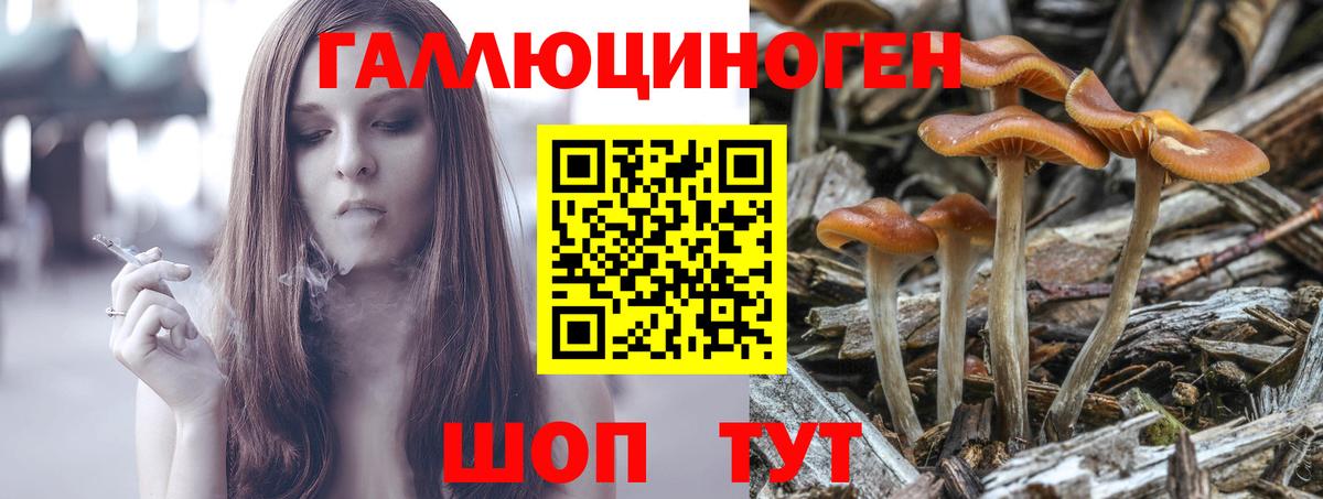 Балашов  как найти   Вход с VPN  Галлюциногенные грибы Magic Shrooms 